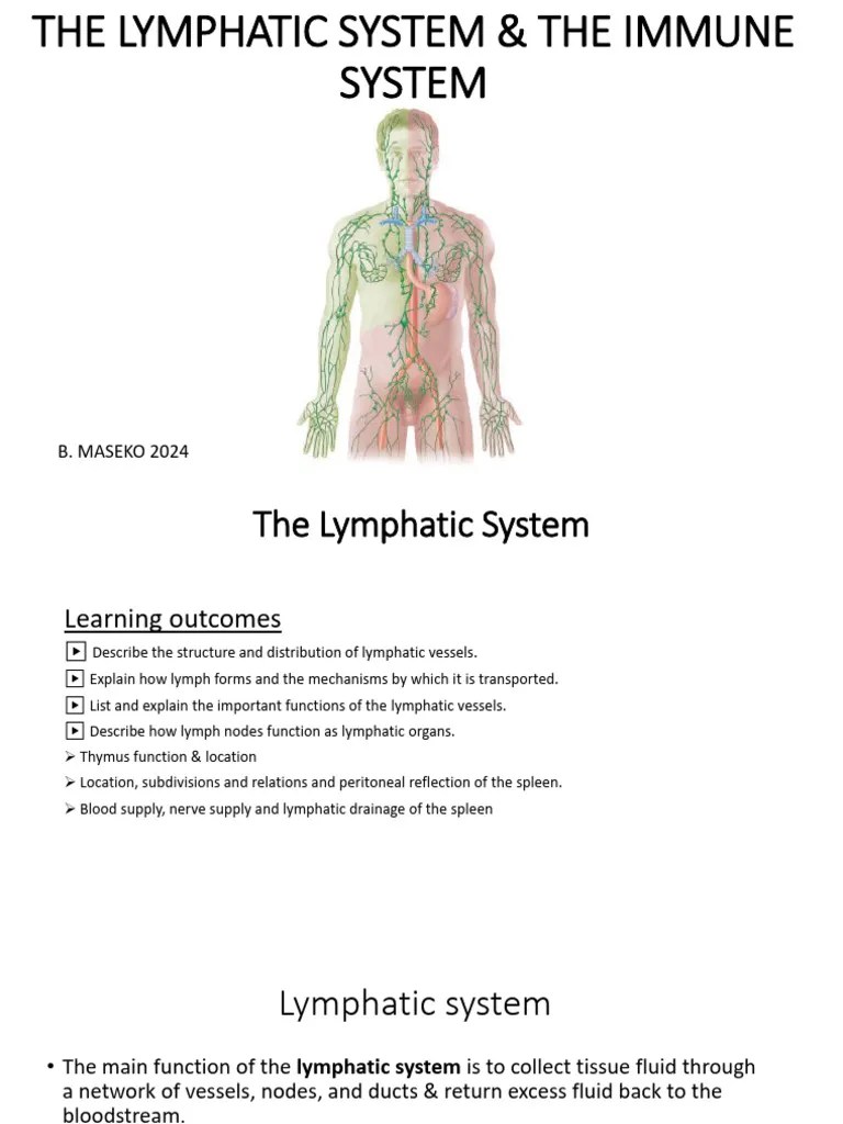 THE Lymphatic System & THE IMMUNE SYSTEM PDF | PDF | Lymphatic System | Lymph Node