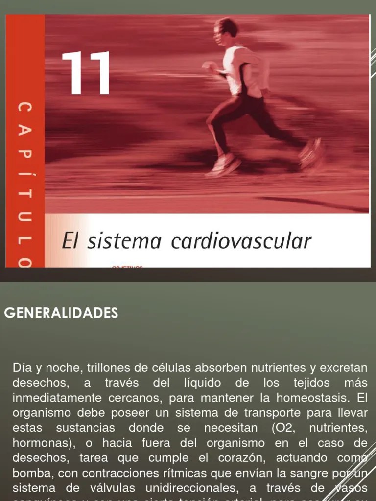 Sistema Cardiovascular | PDF | Corazón | Ventrículo (corazón)