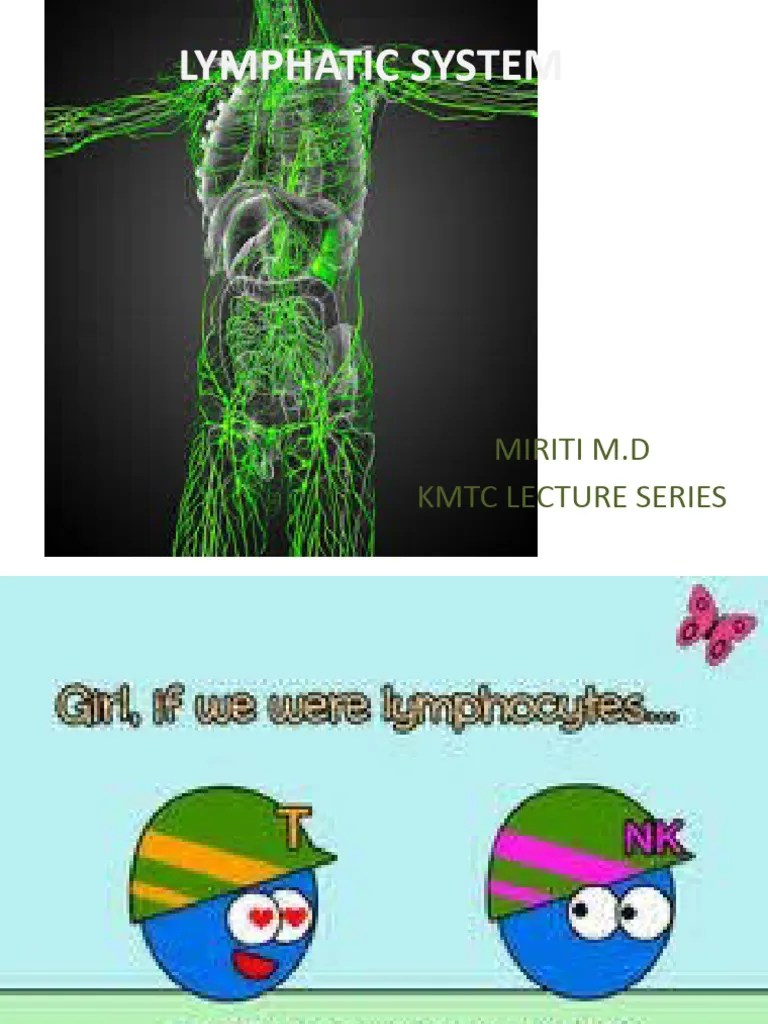 Lymphatic System | PDF | Lymphatic System | Lymph