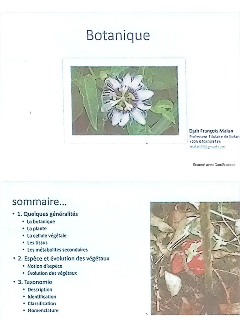 Botanique | PDF
