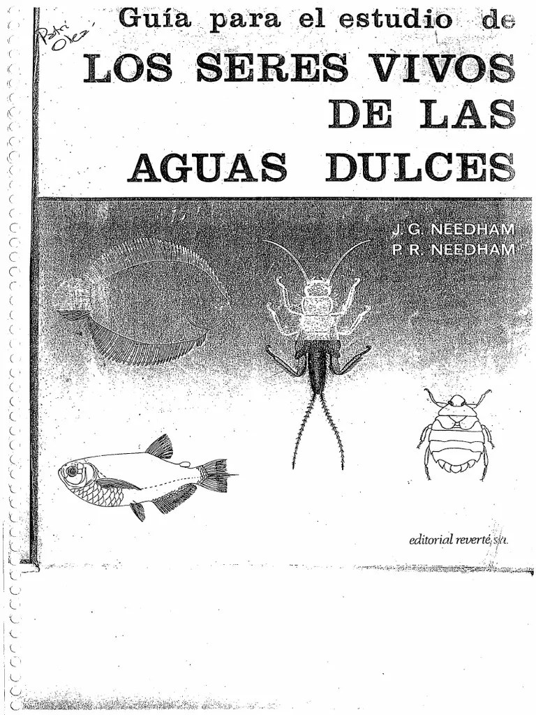 Los Seres Vivos Ciencias Naturales Y Su Didactica 1. | PDF