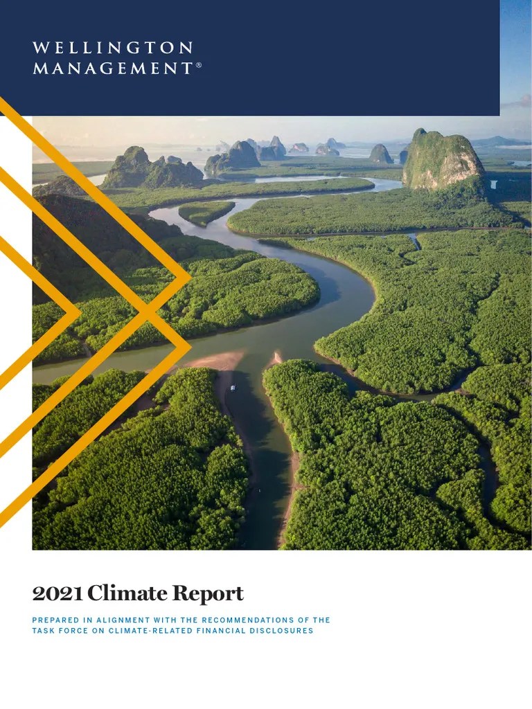 Climate-report-2021 | Download Free PDF | Investing | Risk