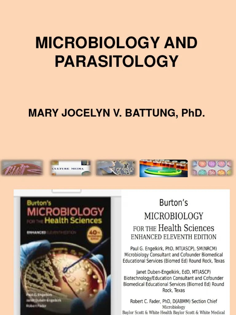 Introduction-to-Microbiology-1 | Download Free PDF | Microorganism ...