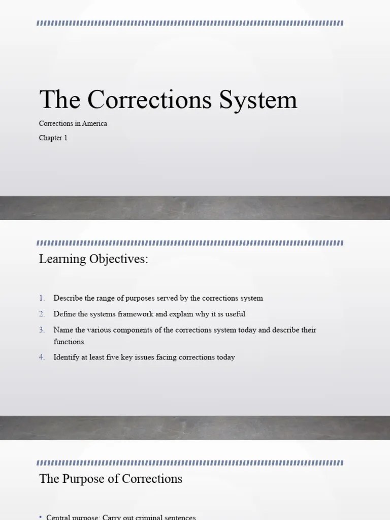 Unit 1 PowerPoint | PDF | Prison | Crimes