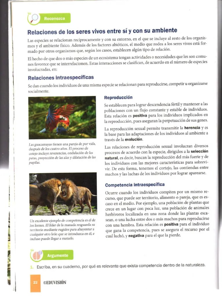 Relaciones Tr Ficas Pdf Red Alimentaria Entorno Natural - Premium Geometric Wallpaper Gallery - Mobile