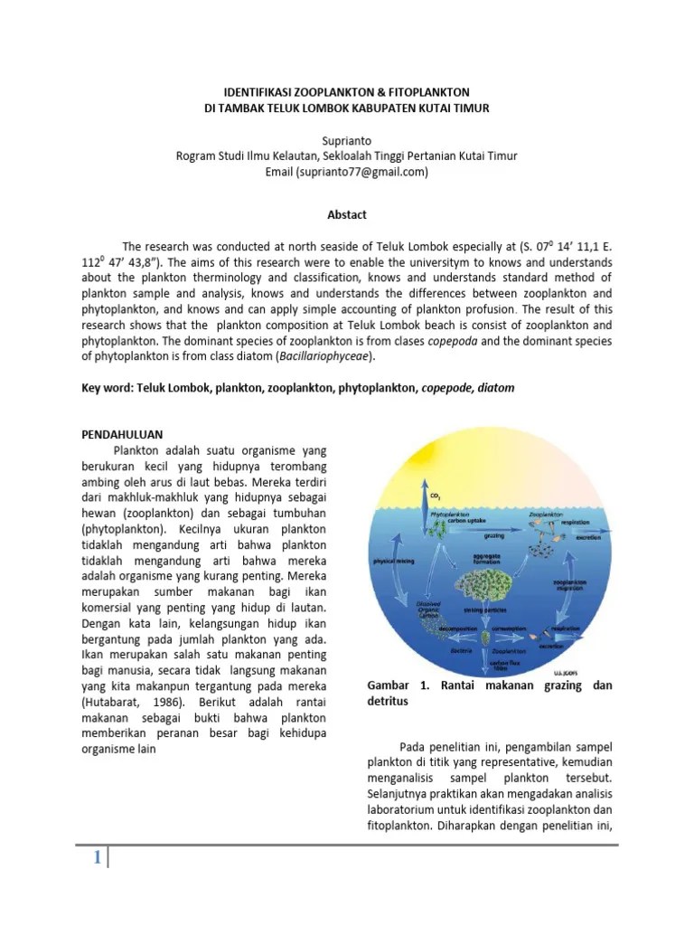 Identifikasi Zooplankton | PDF