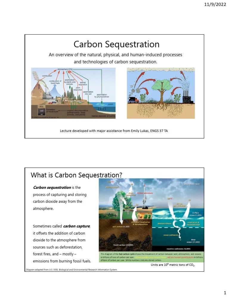 Carbon Sequestration | PDF | Carbon Sequestration | Carbon Dioxide