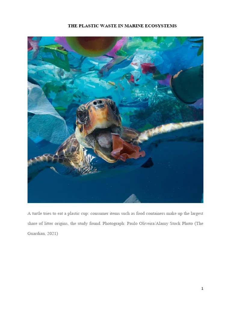 Plastic Pollution Report Pdf Waste Recycling