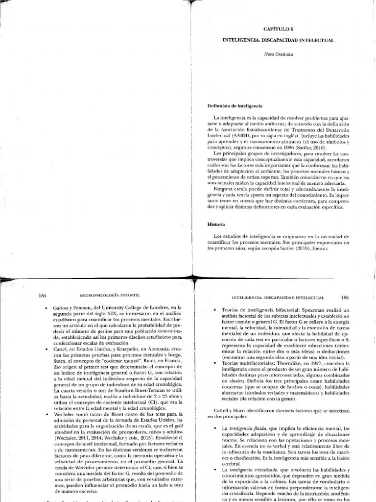 Discapacidad Intelectual_compressed | PDF