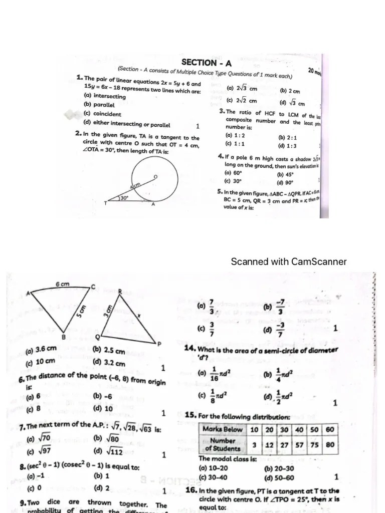 MCQ For Class 10 Maths | PDF