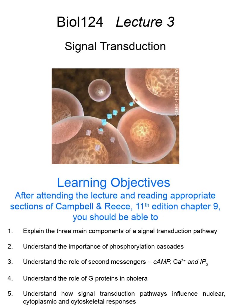 Ppt Signalling Molecules And Signal Transduction Powerpoint - Landscape Picture Collection - Desktop Quality