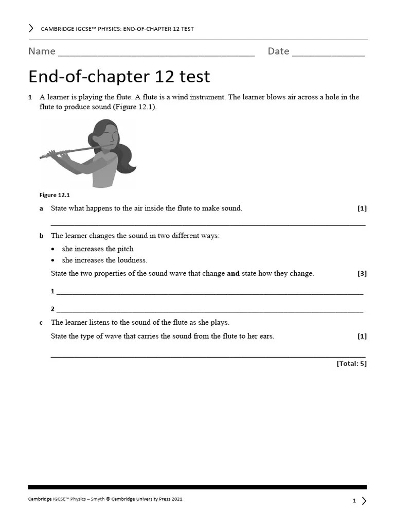 Igcse Physics 3ed Tr End Of Chapter Test 12 | Download Free PDF | Sound ...