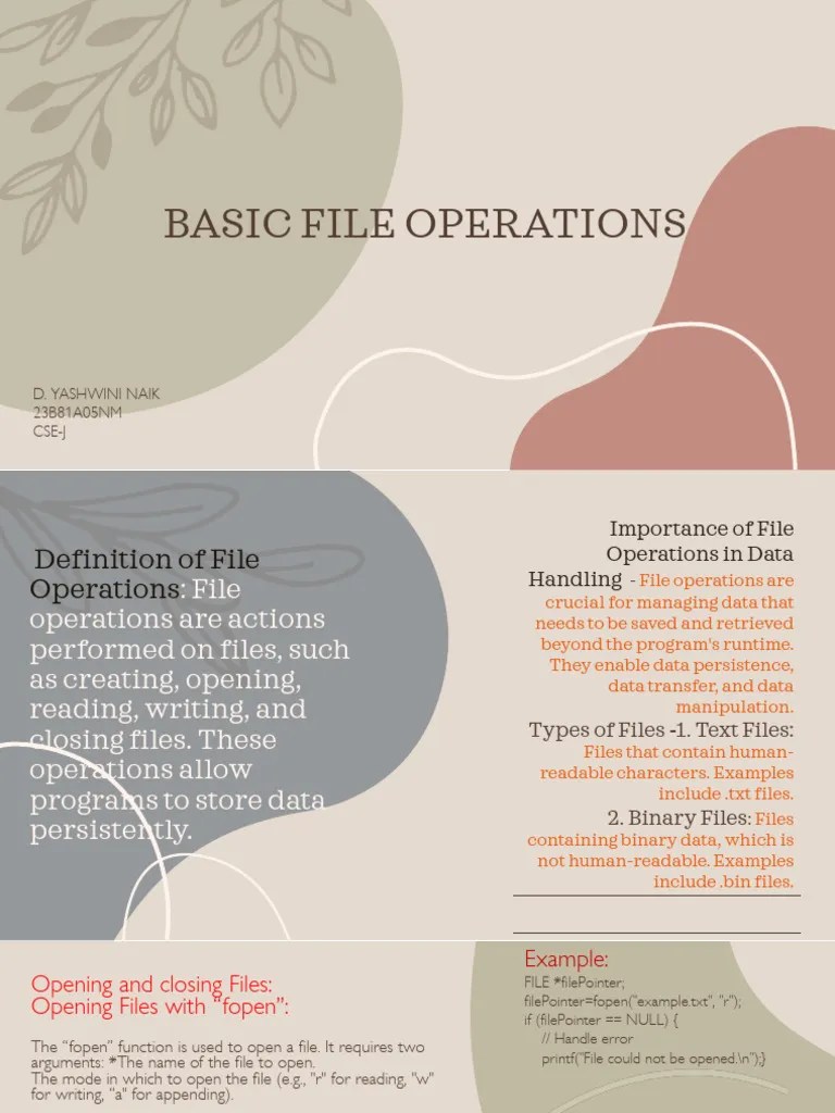 Basic File Operations | PDF | Computer File | Text File