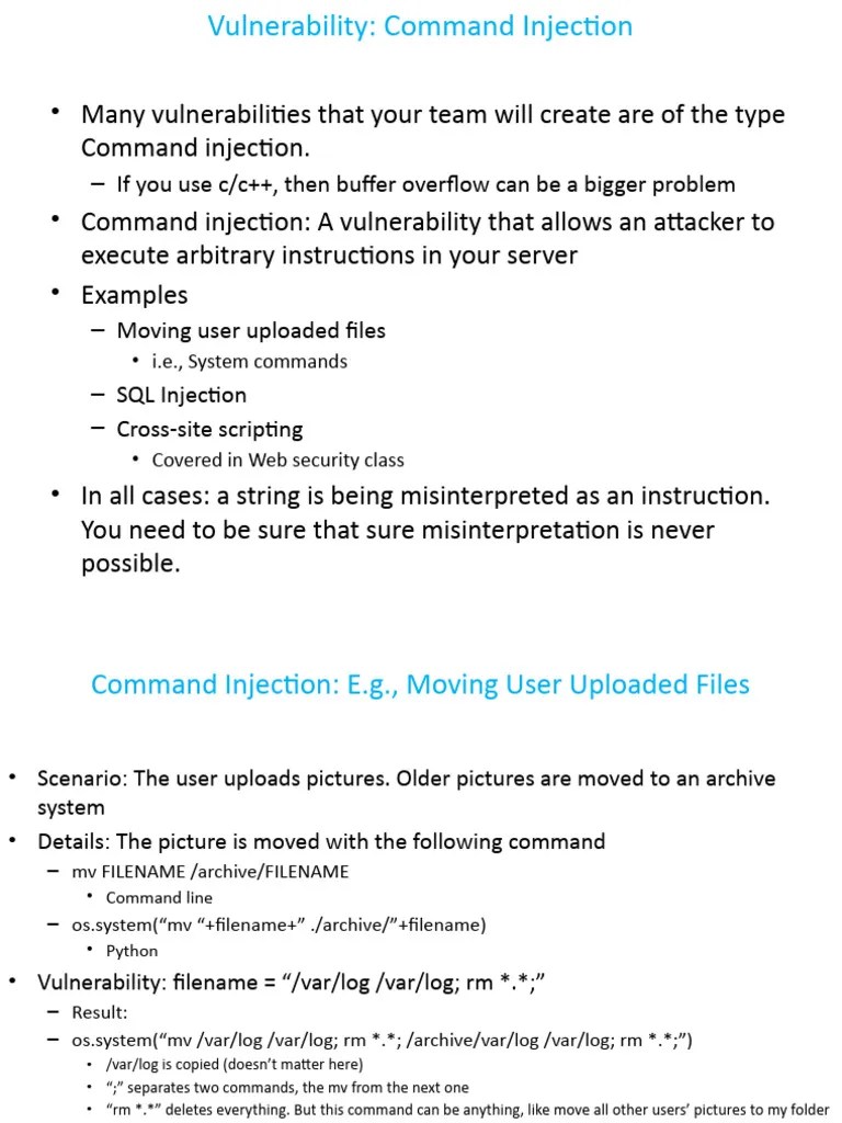 Command Injection Vulnerabilities | PDF | Sql | Information Technology ...