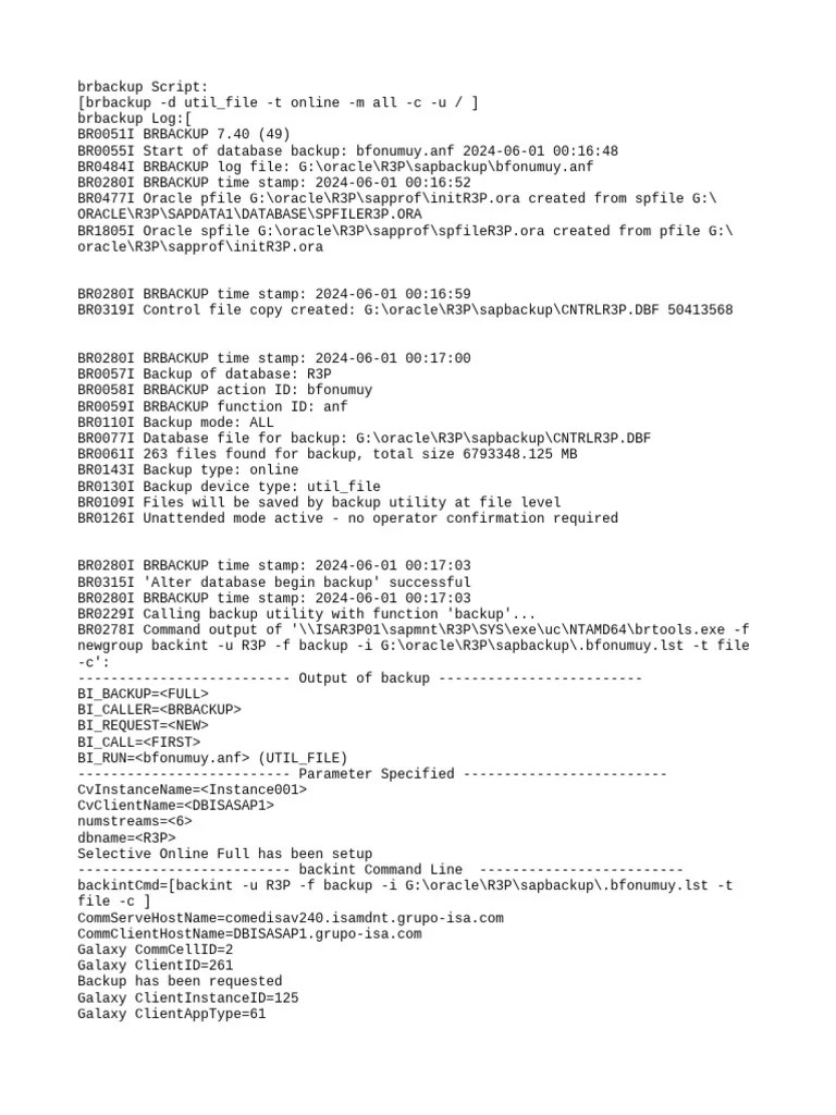 Oracle SAP Backup Log - JOB 1196255 | PDF | Backup | Computer Architecture