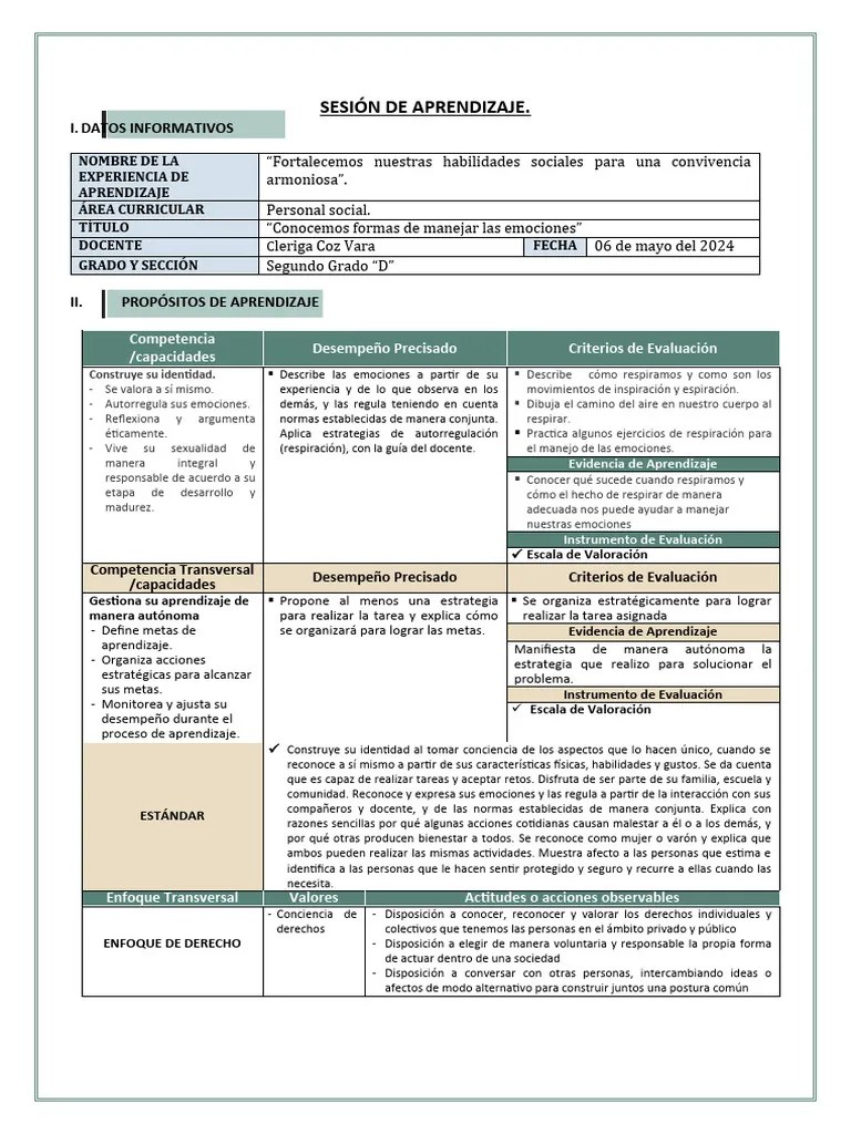 Sesion Pers. 06-05-2024 | PDF | Aprendizaje | Las Emociones