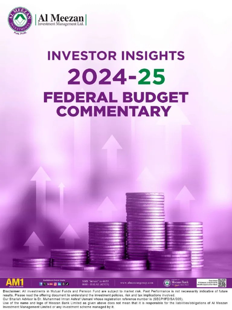 Federal-Budget-FY25-Review | PDF | Taxes | Capital Gains Tax