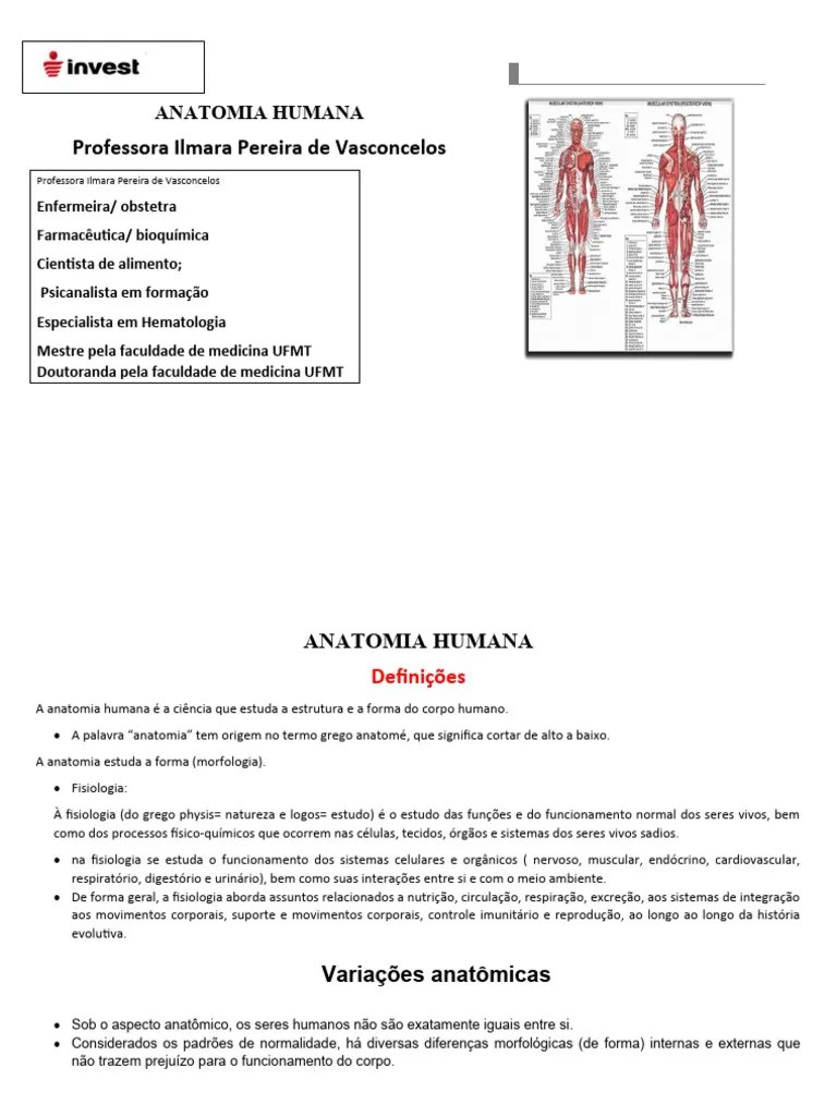 Anatomia Humana | PDF | Esqueleto | Anatomia