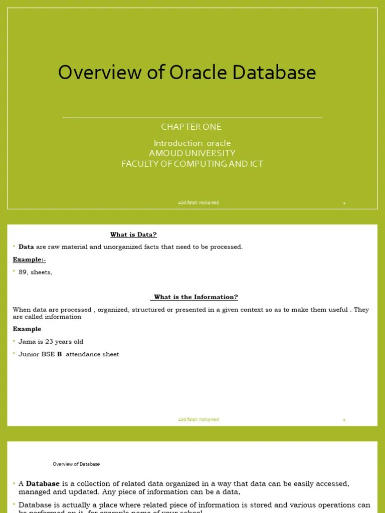 Chapter 1 Oracle Introduction | PDF | Oracle Database | Databases