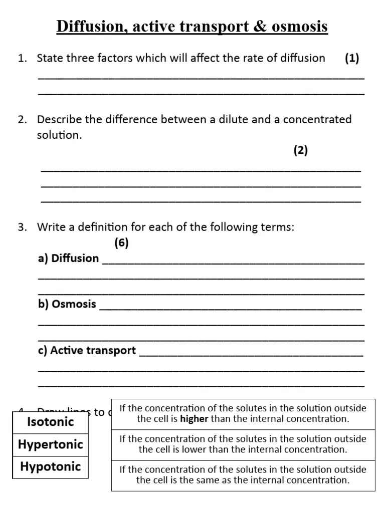 Diffusion Osmosis - Active Transport | PDF | Osmosis | Biology