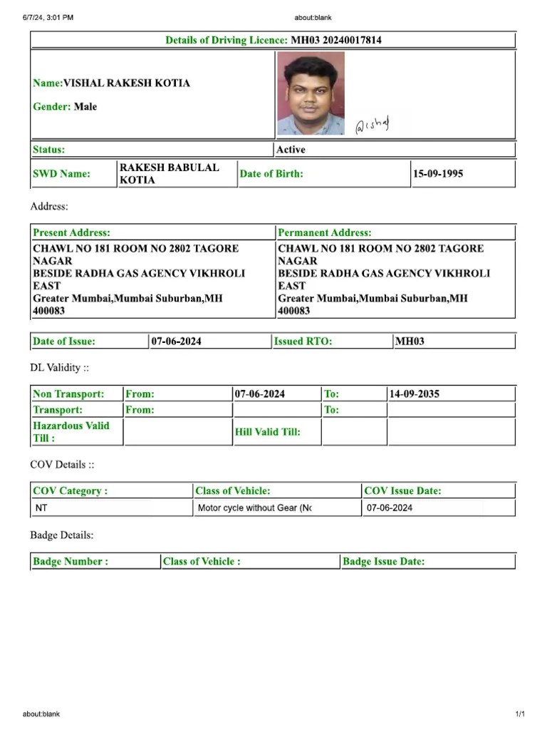 Driving License | PDF