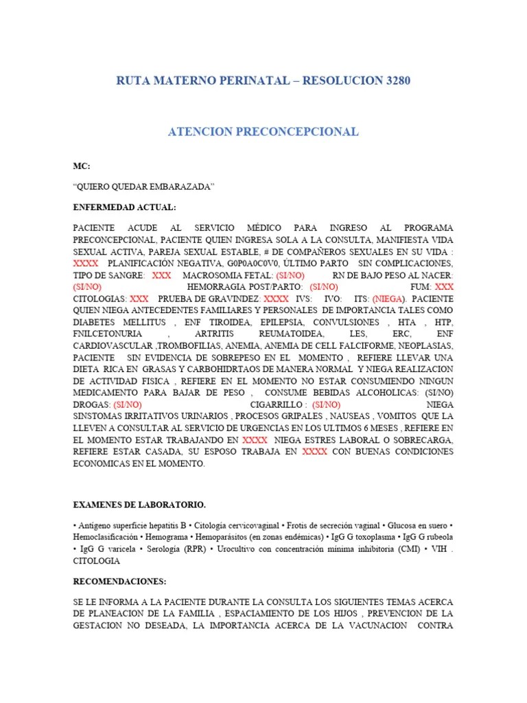 Plantillas De Ruta Materno Perinatal | PDF | Control De La Natalidad ...