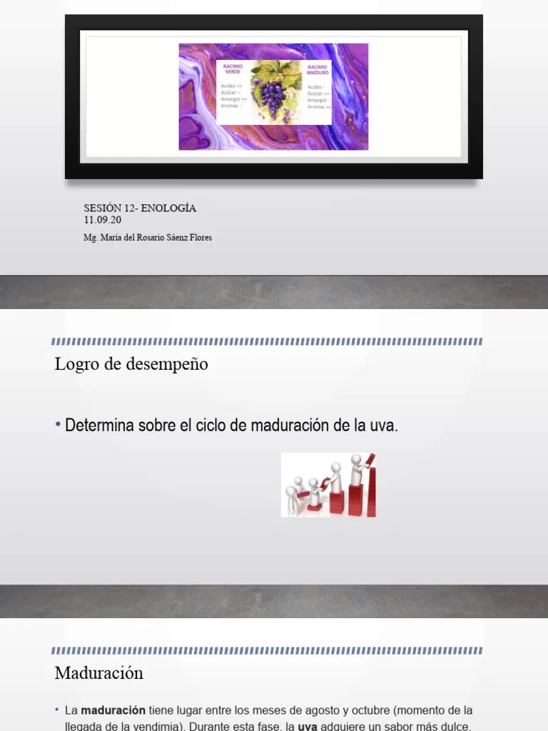 Sesión 12-Ciclo De La Uva | PDF | Uva | Vino