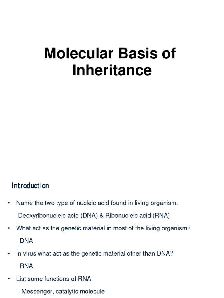 Biology Inheritance Dna And Rrna | PDF | Operon | Rna