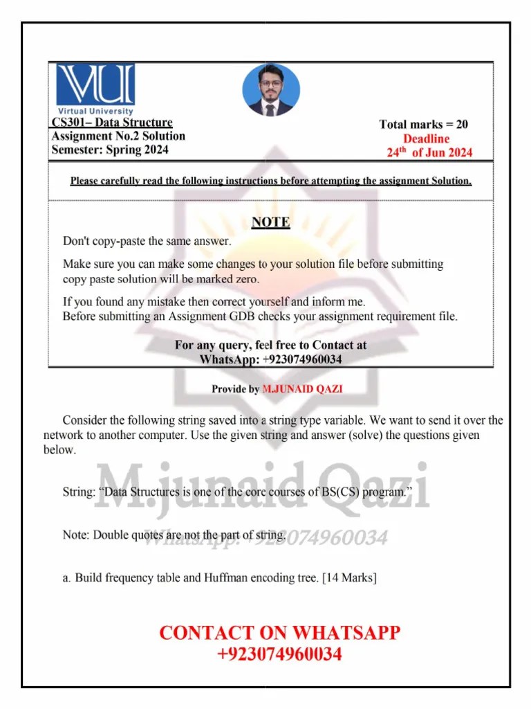 CS301-Assignment 2 Solution Spring 2024 By M.junaid Qazi-1 | PDF