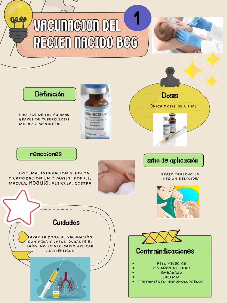 Vacunas Del Recién Nacido | PDF