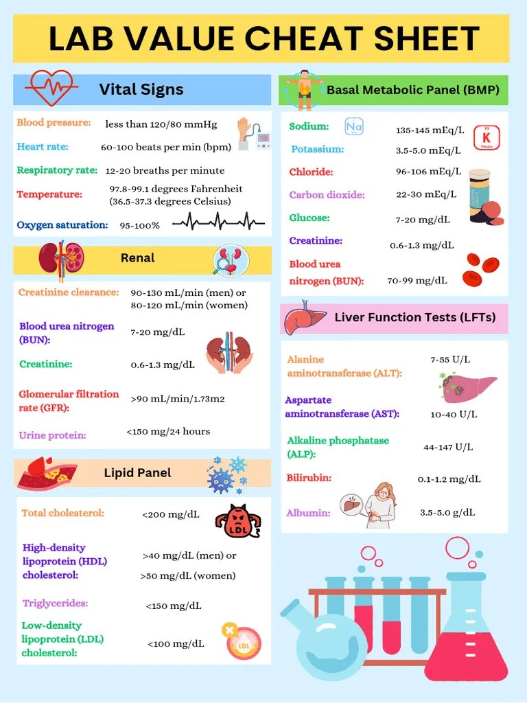 Lab Value Cheat Sheet | PDF | Creatinine | Kidney