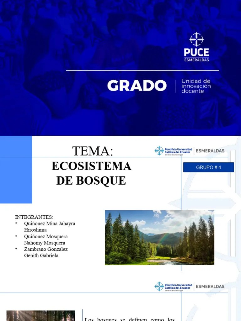 Ecosistema Del Bosque Grupo 4 | PDF | Los Bosques | Arboles