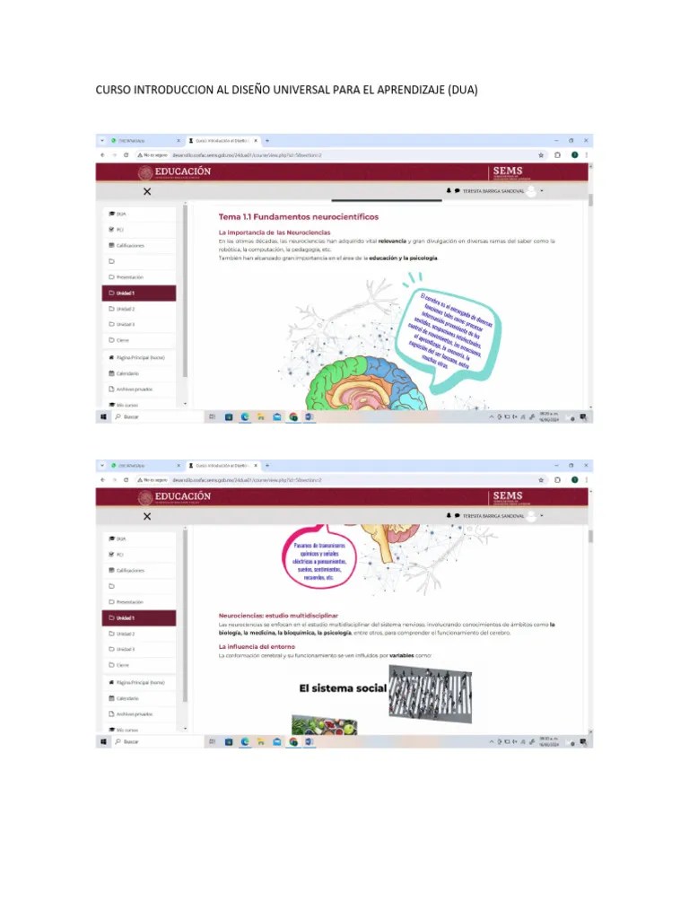 CURSO INTRODUCCION AL DISEÑO UNIVERSAL PARA EL APRENDIZAJE | PDF