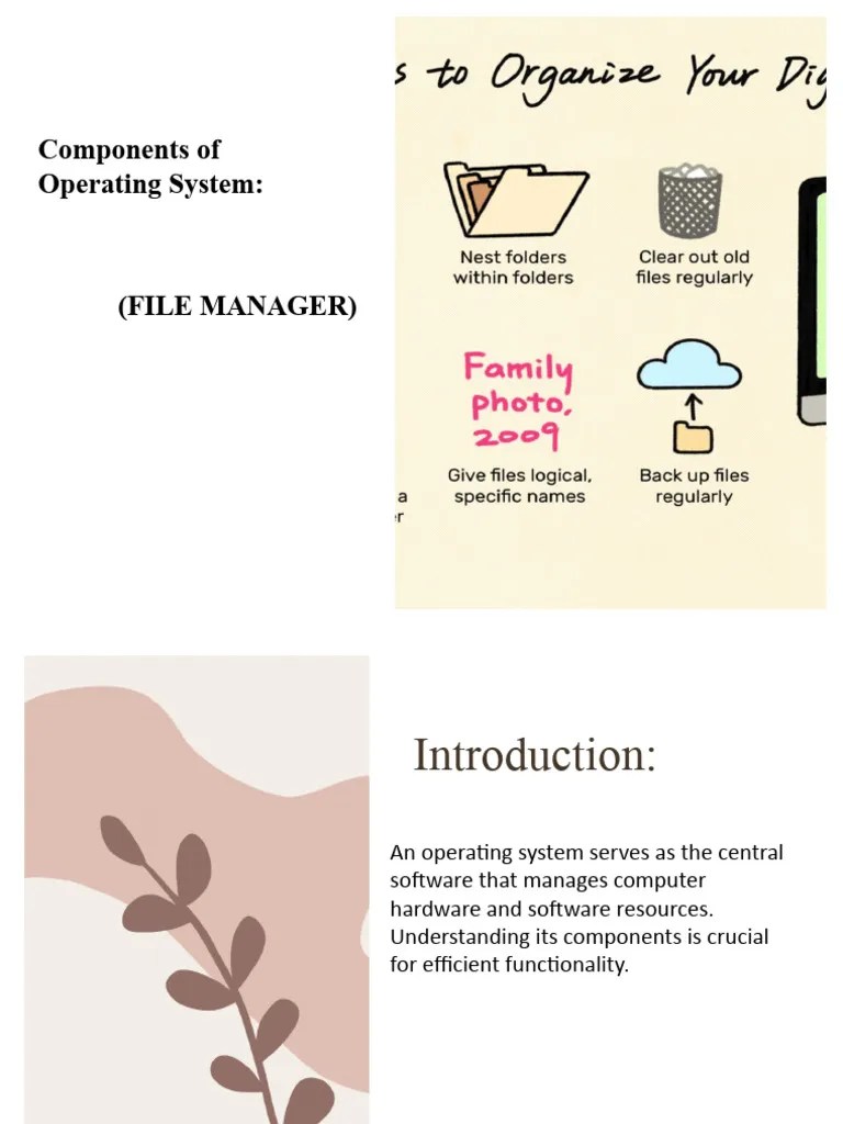 Components Of Operating System FILE MANAGER | PDF | Computer File ...