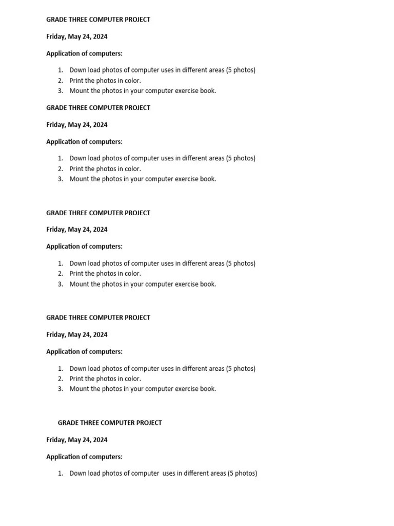 Grade 3 Computer Project | PDF