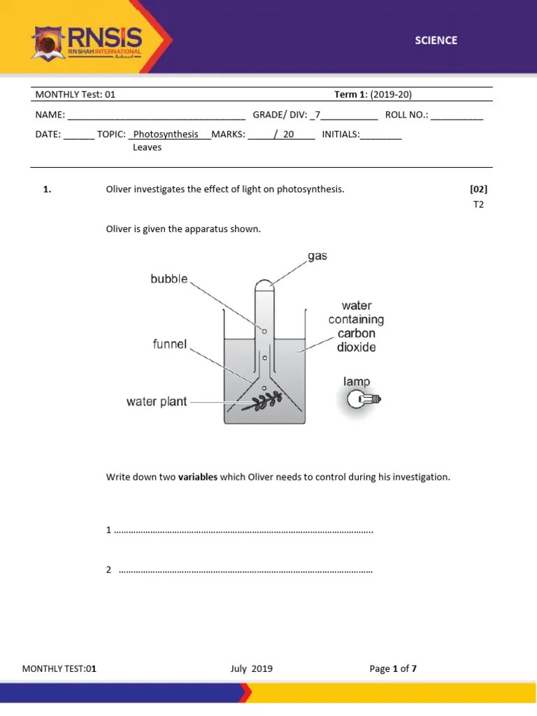 MT1 Grade 7 Science | PDF | Plants | Botany