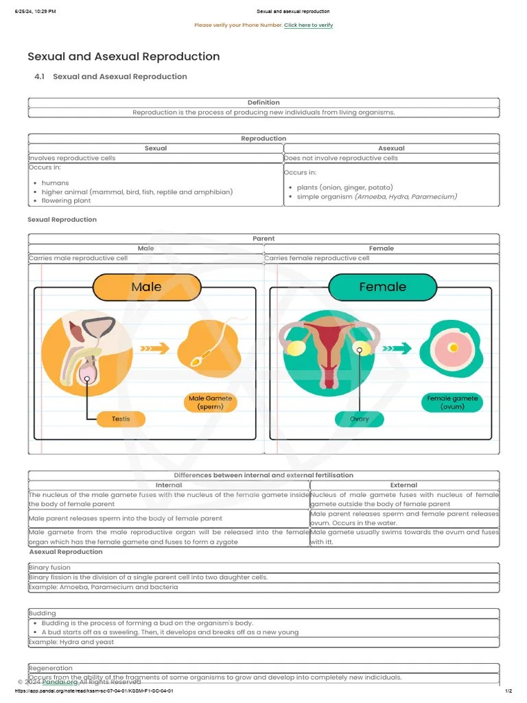 Sexual And Asexual Reproduction | PDF | Sexual Reproduction | Sperm