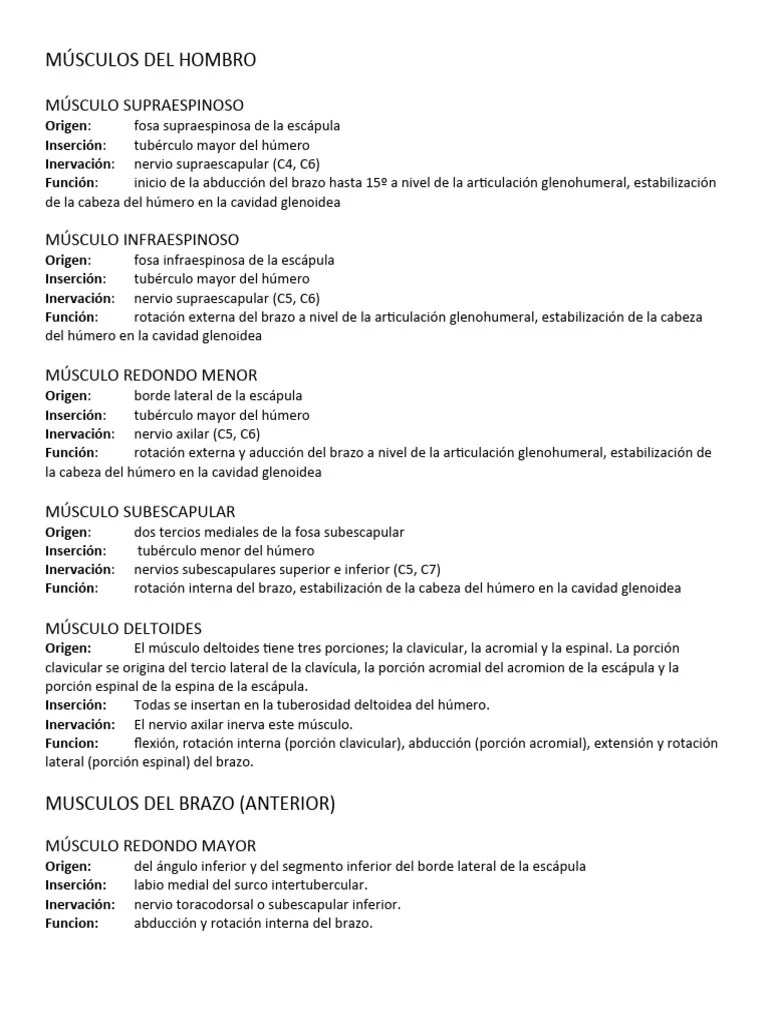 Musculos | PDF | Codo | Sistema Musculoesquelético