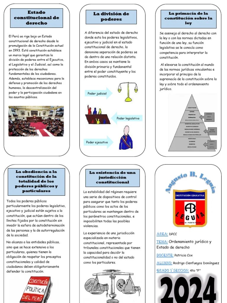 Ordenamiento Juridico | PDF | Constitución | Judicaturas