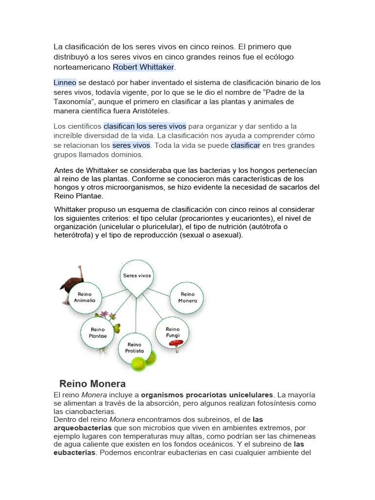Clasificacion De Los Seres Vivos | PDF | Plantas | Hongo