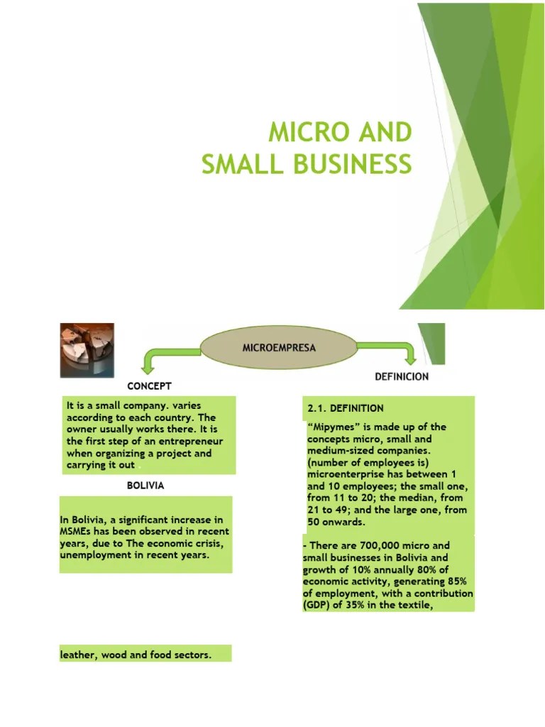 Micro And Small Business | PDF | Employment | Business Economics