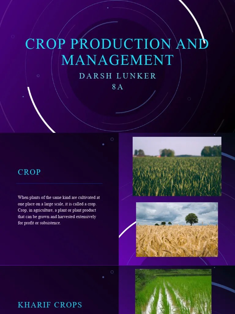 Crop Production And Management | PDF | Sowing | Crops