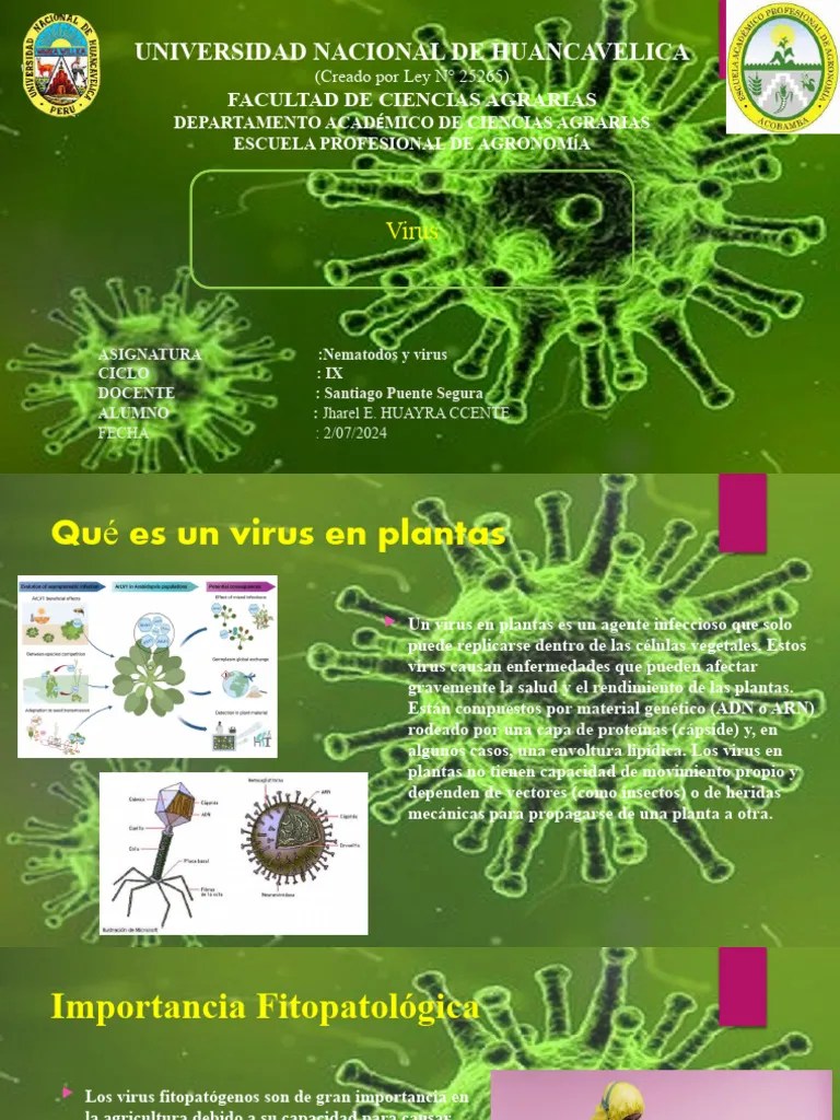 Virus En Plantas Virus Tmv | PDF | Virus | Ciencias De La Salud