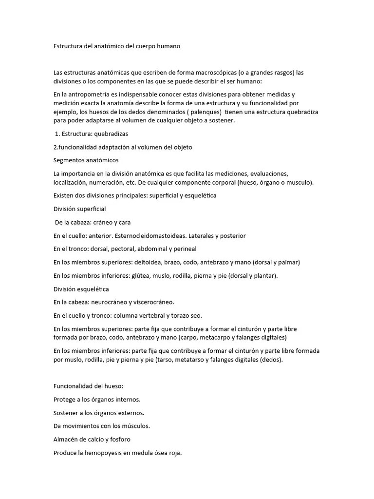 Estructura Del Anatómico Del Cuerpo Humano (Recuperado Automáticamente) | PDF | Músculo | Esqueleto