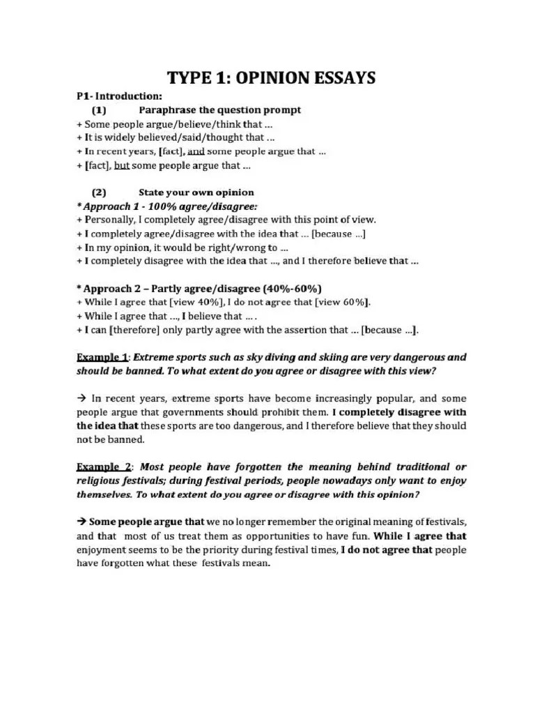 Handout - Agree-Disagree Essay | PDF