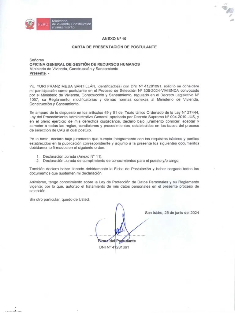 Declaracion Jurada Mv-Cas305-2024 | PDF