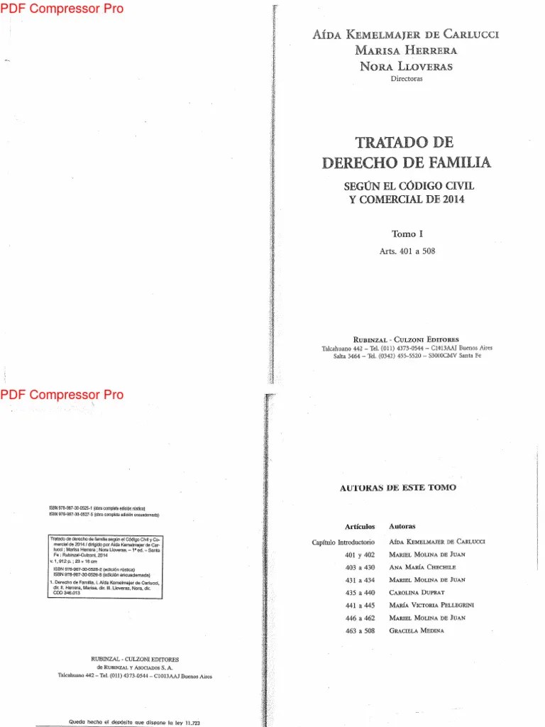 Tratado De Derecho De Familia (NUEVO CODIGO) - Kemelmajer De Carlucci ...
