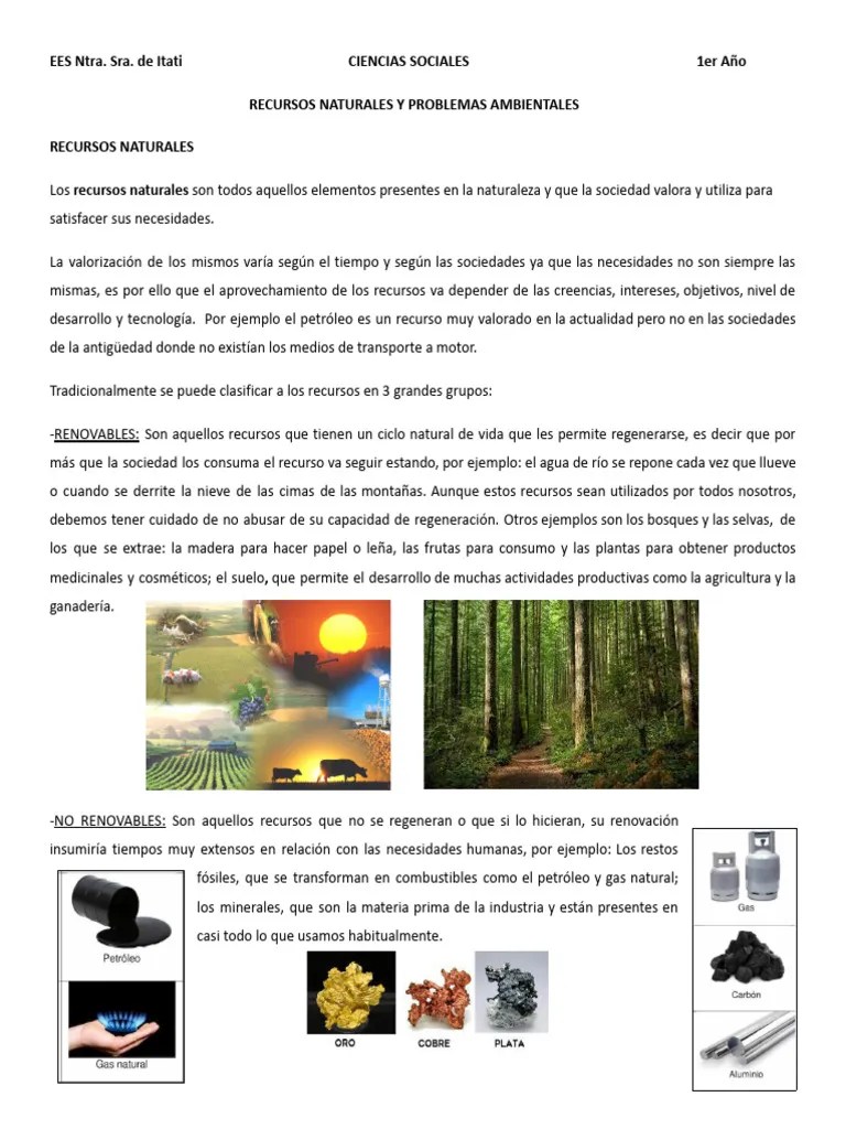RECURSOS NATURALES Y PROBLEMAS AMBIENTALES | PDF | Entorno Natural | Herida