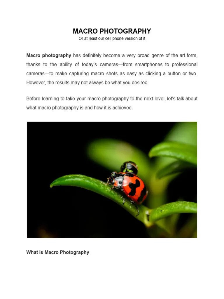 Macro Photography | PDF | Macro Photography | Camera