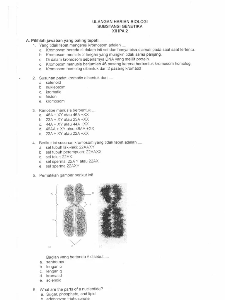 Soal pilihan ganda + jawabannya. Soal Substansi Genetika Pdf